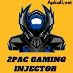 2Pac Gaming Injector