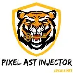Pixel AST Injector